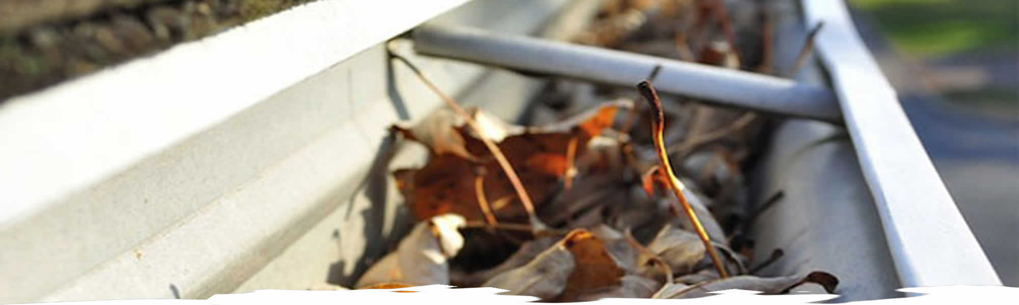 Gutter Cleaning Services Tennessee