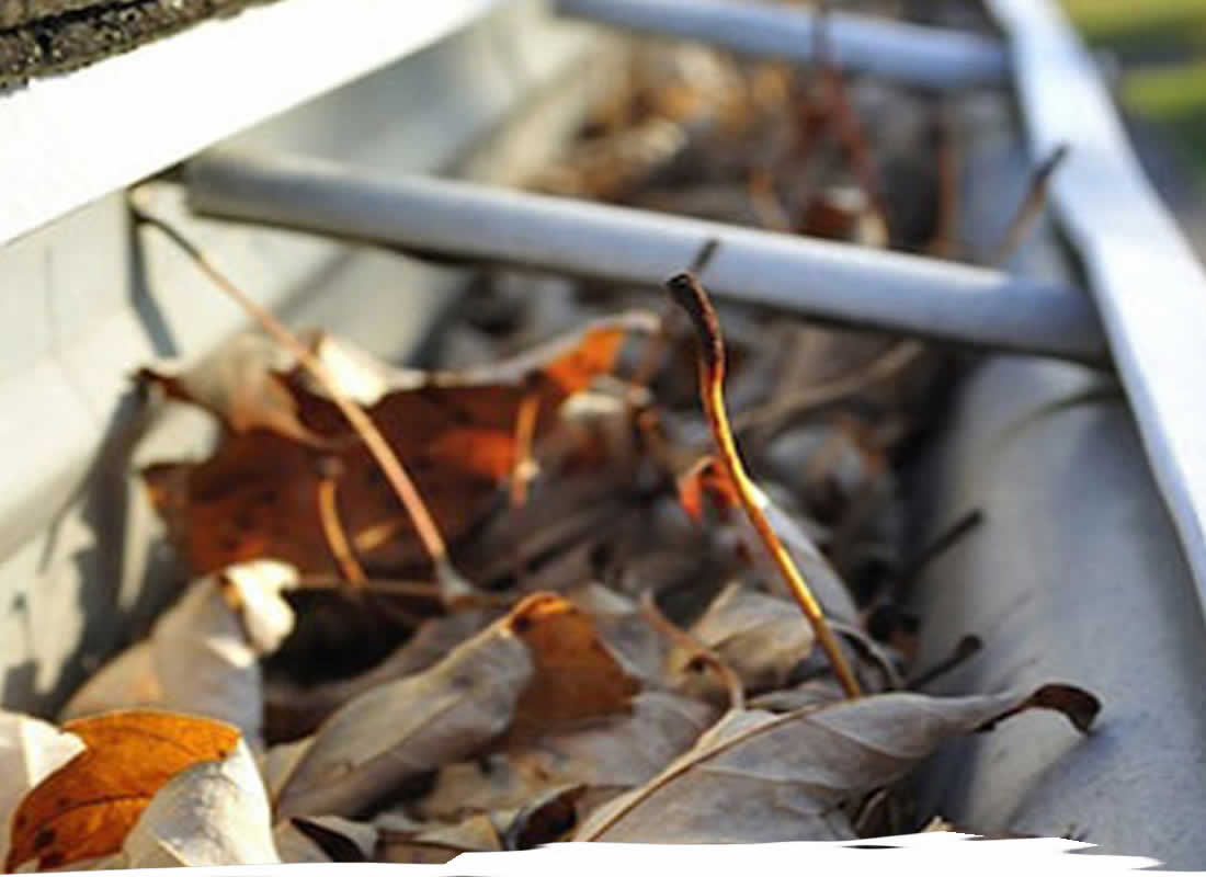 Gutter Cleaning Services TN